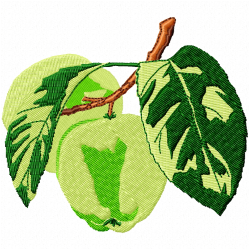 Apple Embroidery Design 8 Apple Embroidery Design 8